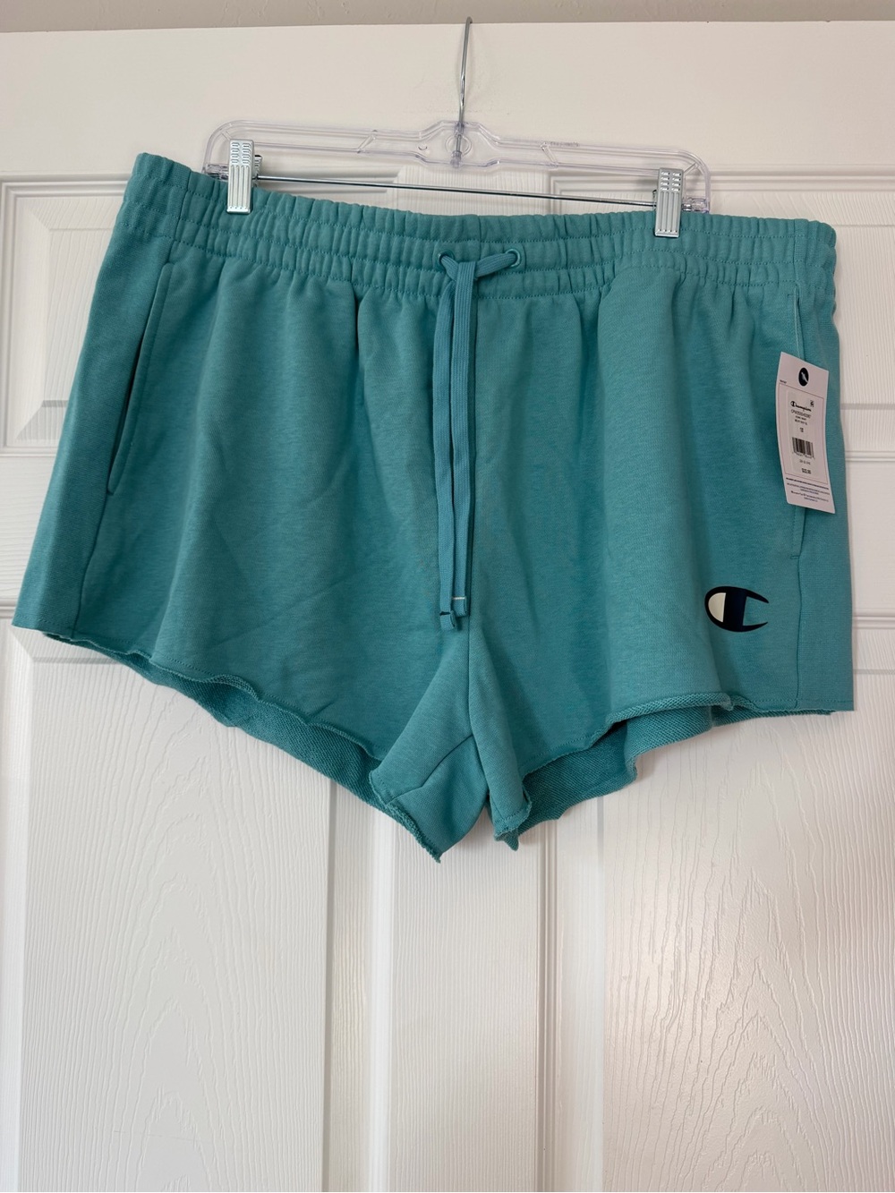 Champion Teal Athletic Terry Shorts